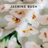Jasmīni